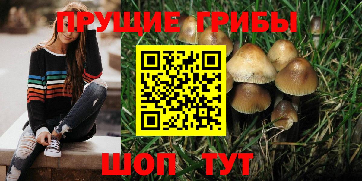 Галлюциногенные грибы Magic Shrooms Кизилюрт